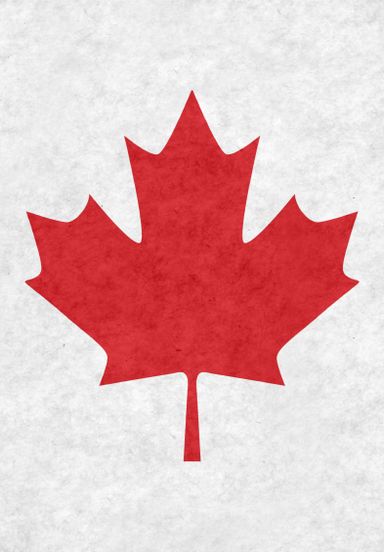 <img src="canada-flag.jpg" alt="Canadian-Home-Healthcare.">